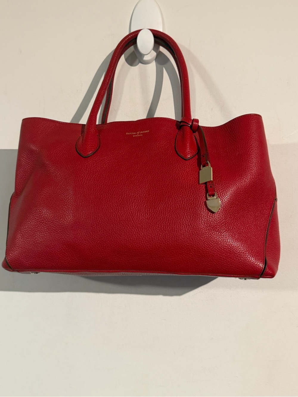 Red Leather Tote with Gold Accent - Women's Everyday Tote